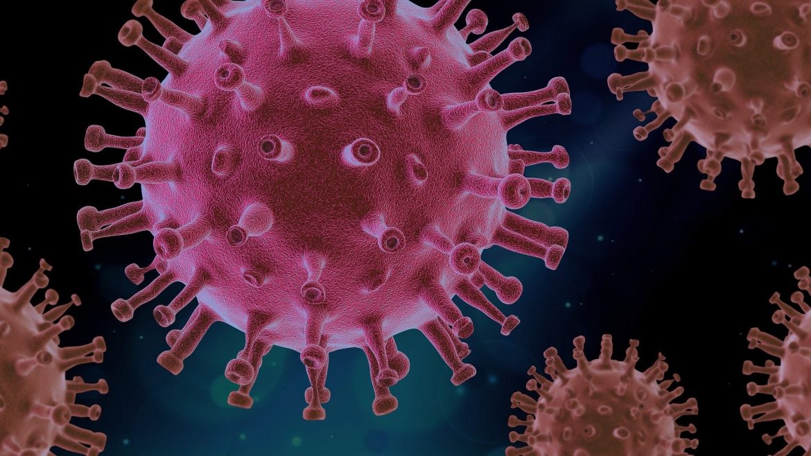Kragujevac: Još 74 nova slučaja zaraze korona virusom