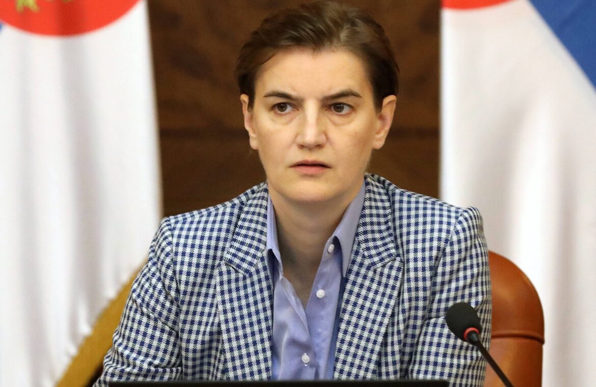 Brnabić: Stvoriti mogućnosti da mladi ostanu u zemlji i da se dijaspora vrati