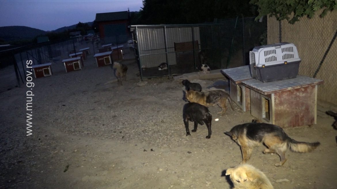 Vulin: Uhapšen muškarac koji je u azilu ubijao i mučio pse