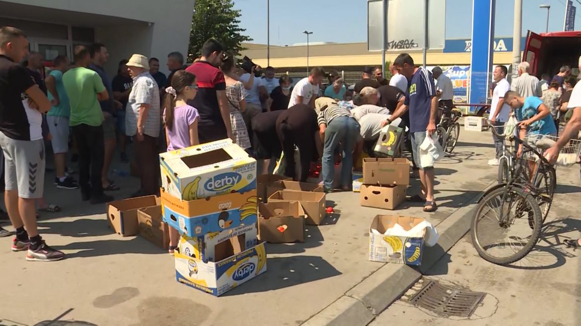 Leskovački proizvođači besplatno podelili građanima nekoliko tona paradajza