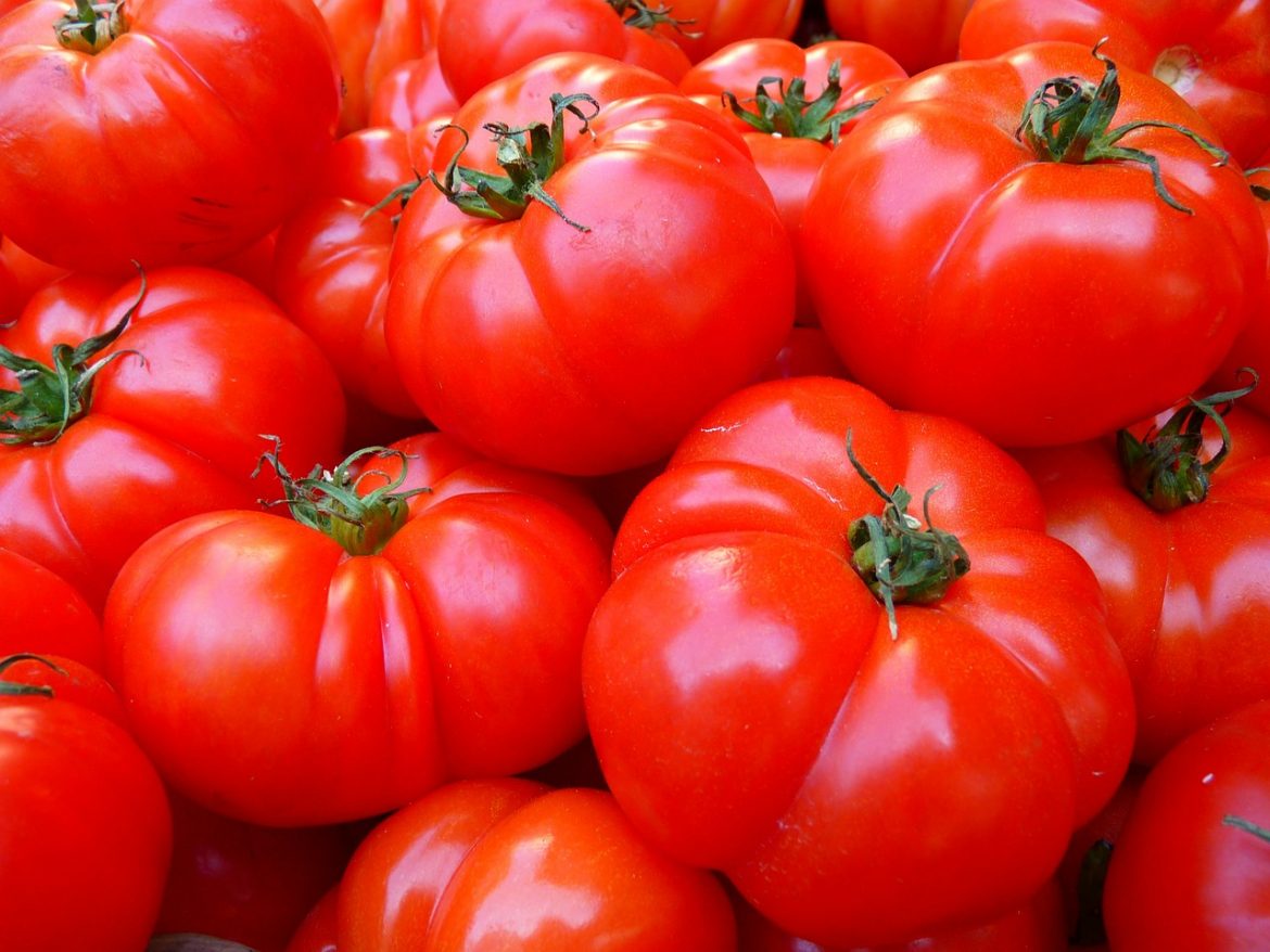 Proizvođači paradajza iz Leskovca najavili protest za sutra