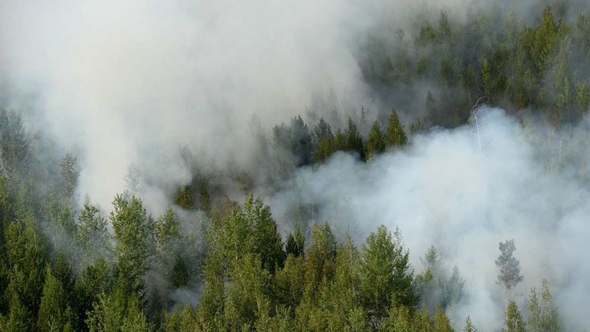 Požar na zlatiborskom brdu Gradina iznad Čajetine