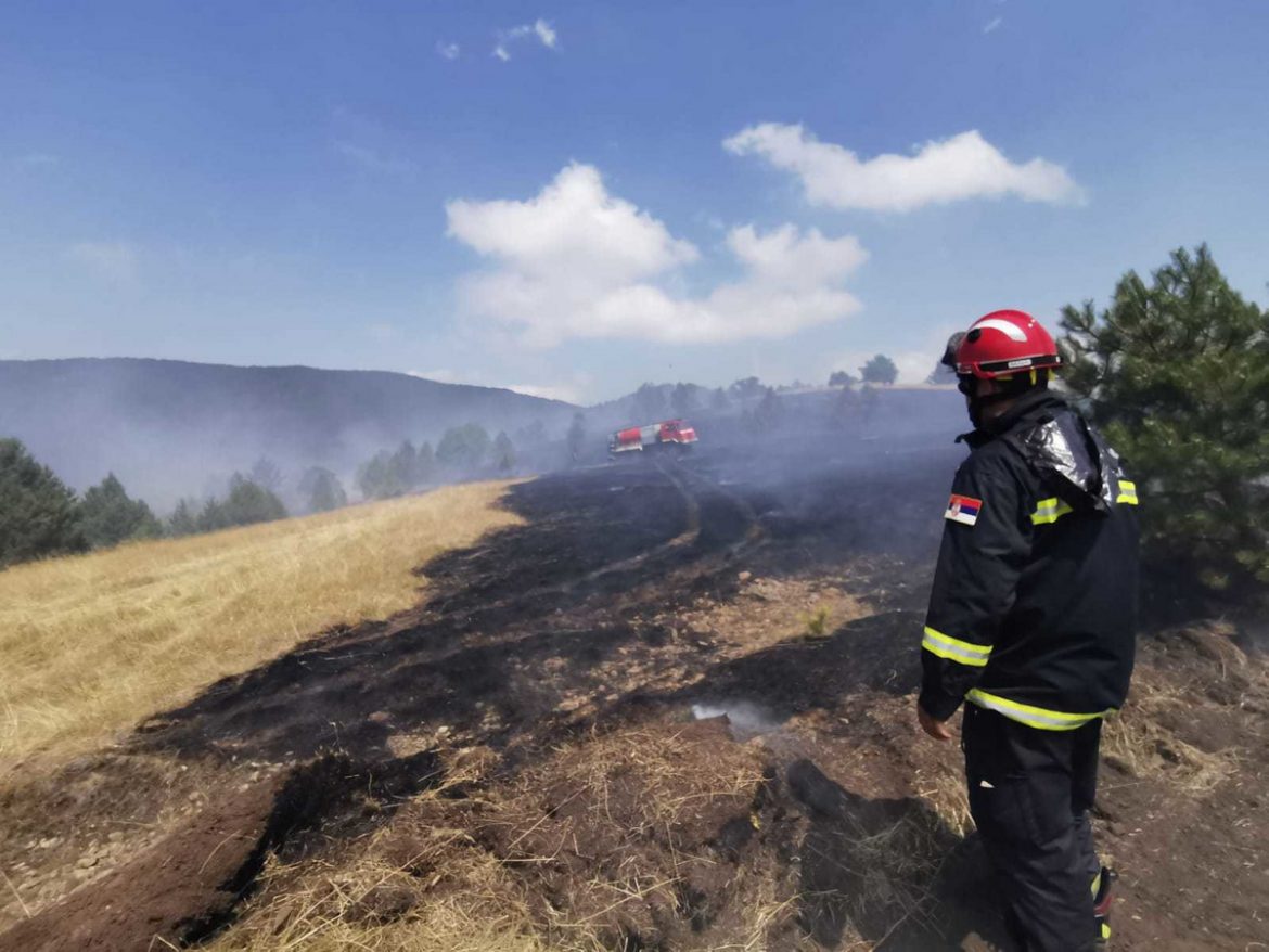 Lokalizovan požar na Mokroj Gori