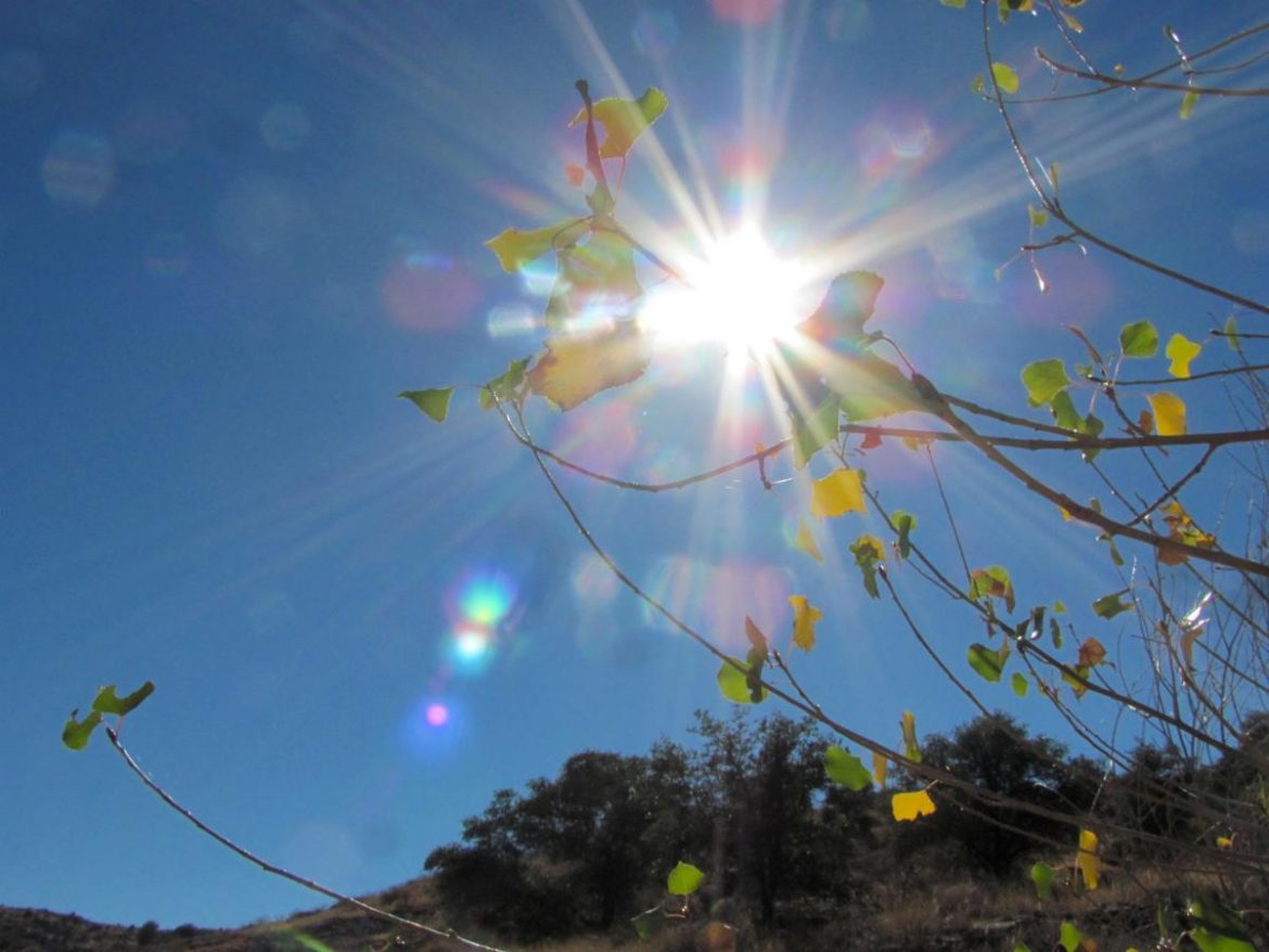 Danas sunčano i veoma toplo, temperatura do 37 stepeni