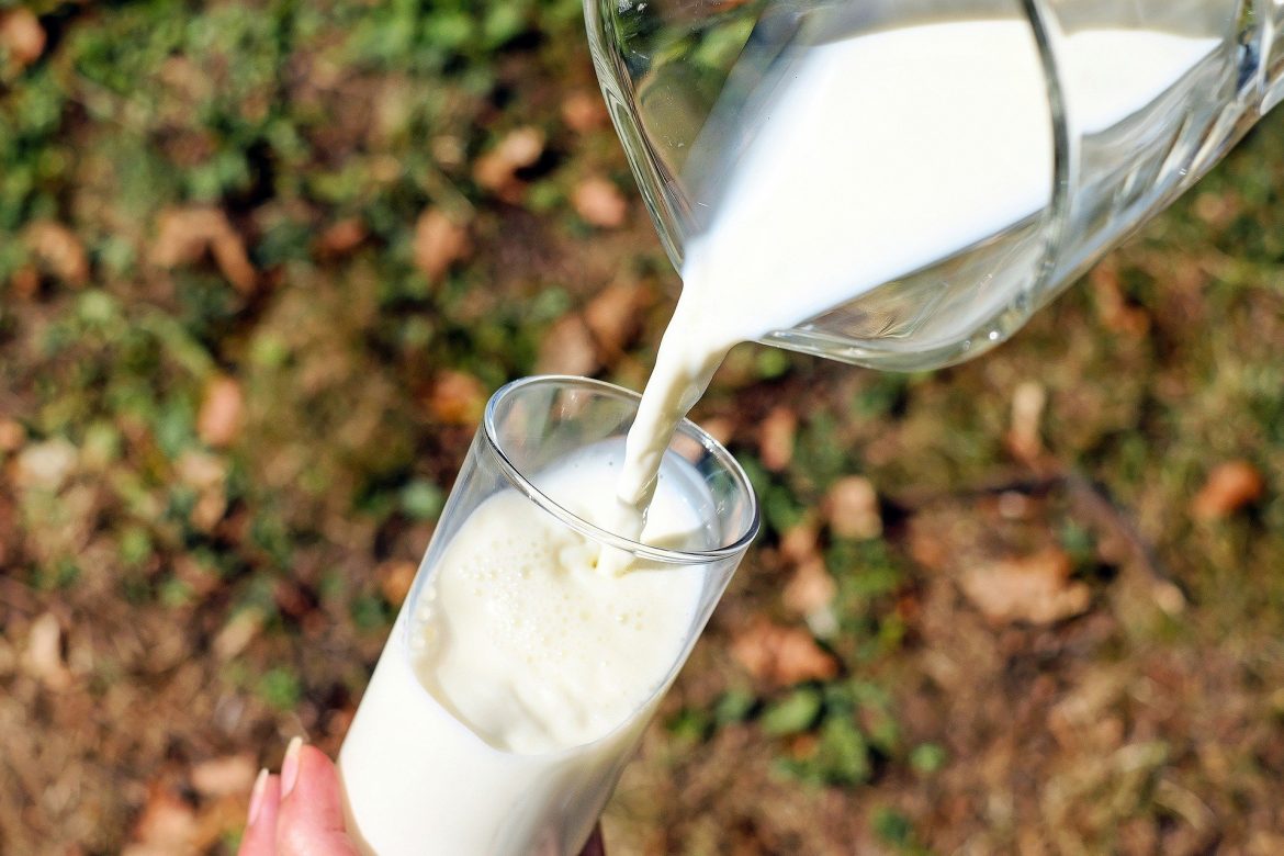 Nedimović: Povećanje premije za mleko za 40 odsto