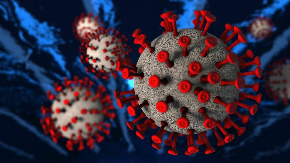 Danas hitan sastanka SZO zbog nove varijante korona virusa