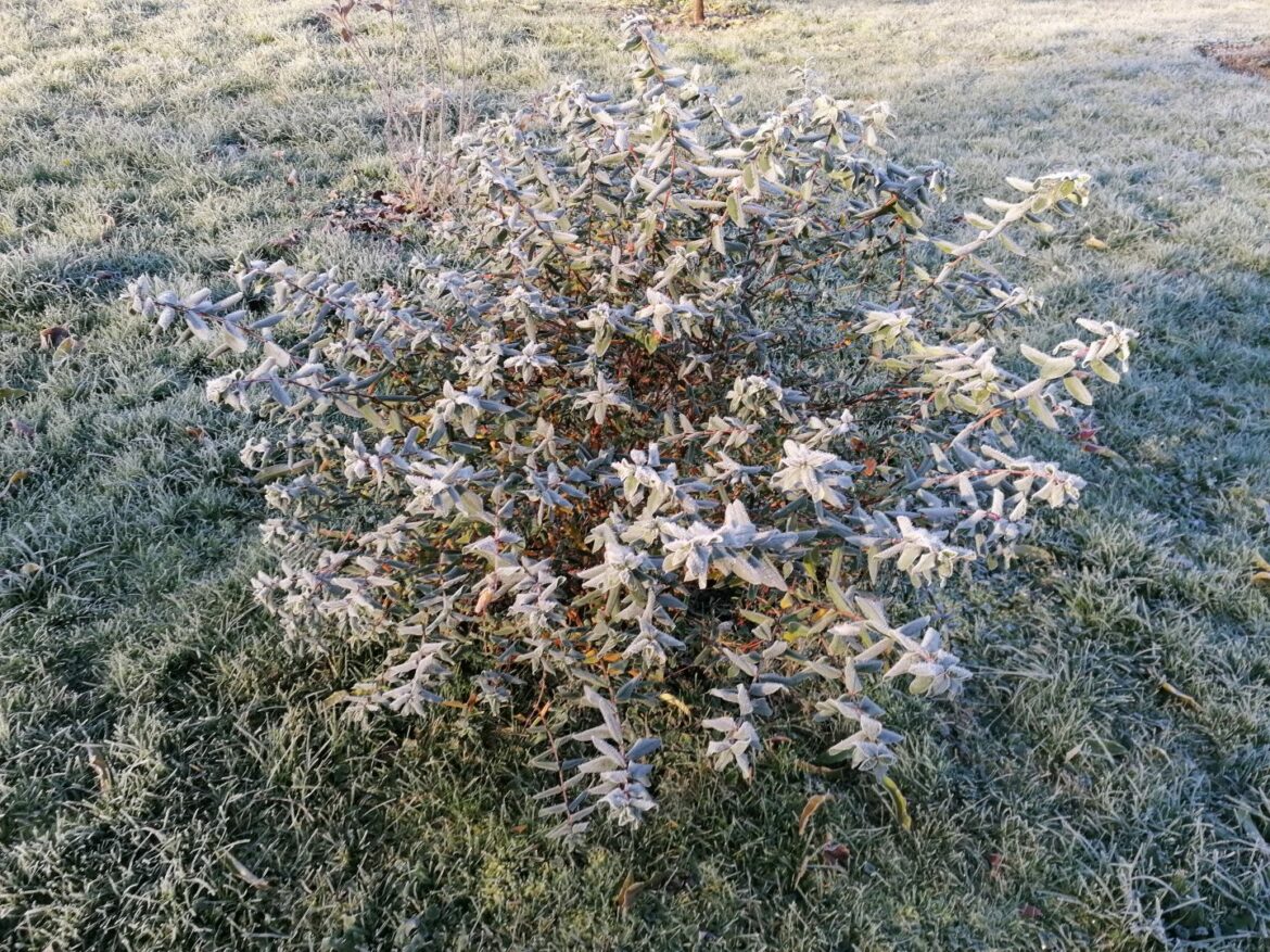 Danas sunčano i hladno, temperatura do 3 stepena