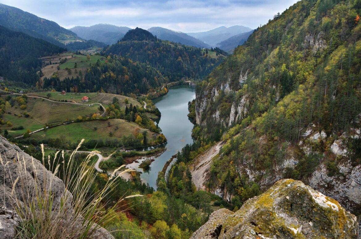 „Forbs“ svrstao Nacionalni park Tara među zapanjujuće prirodne lepote na Balkanu