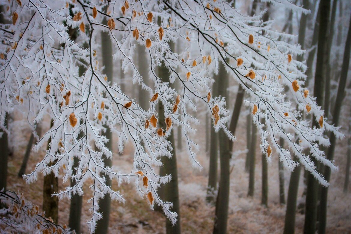 Od ponedeljka u Srbiju stiže ledeni talas, temperatura ispod nule