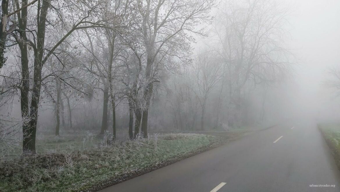 Danas oblačno i magla, temperatura do 10 stepeni