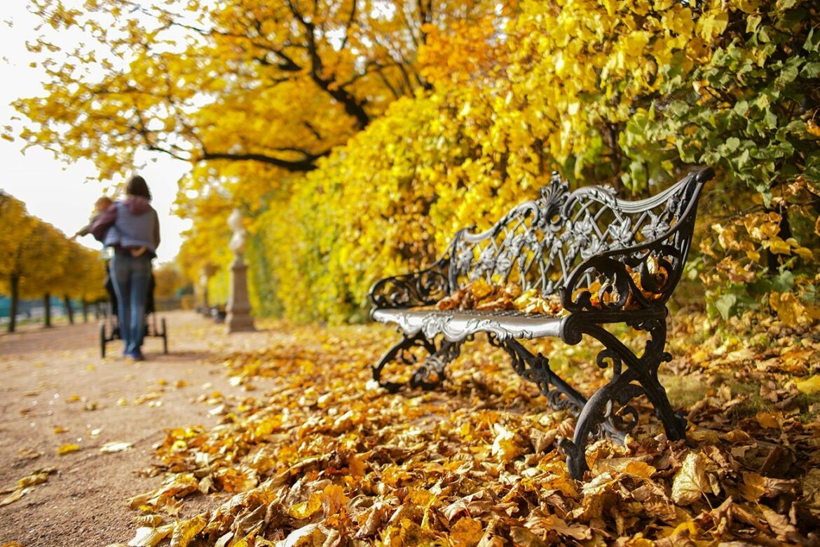 I danas prolećne temperature, maksimlana dnevna 18 stepeni