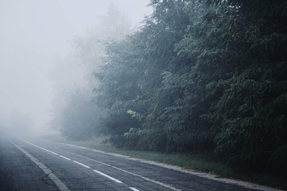 AMSS: Magla smanjuje vidljivost na pojedinim putevima