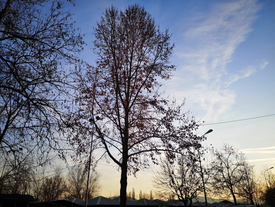 Danas sunčano i toplo, temperatura i do 15 stepeni