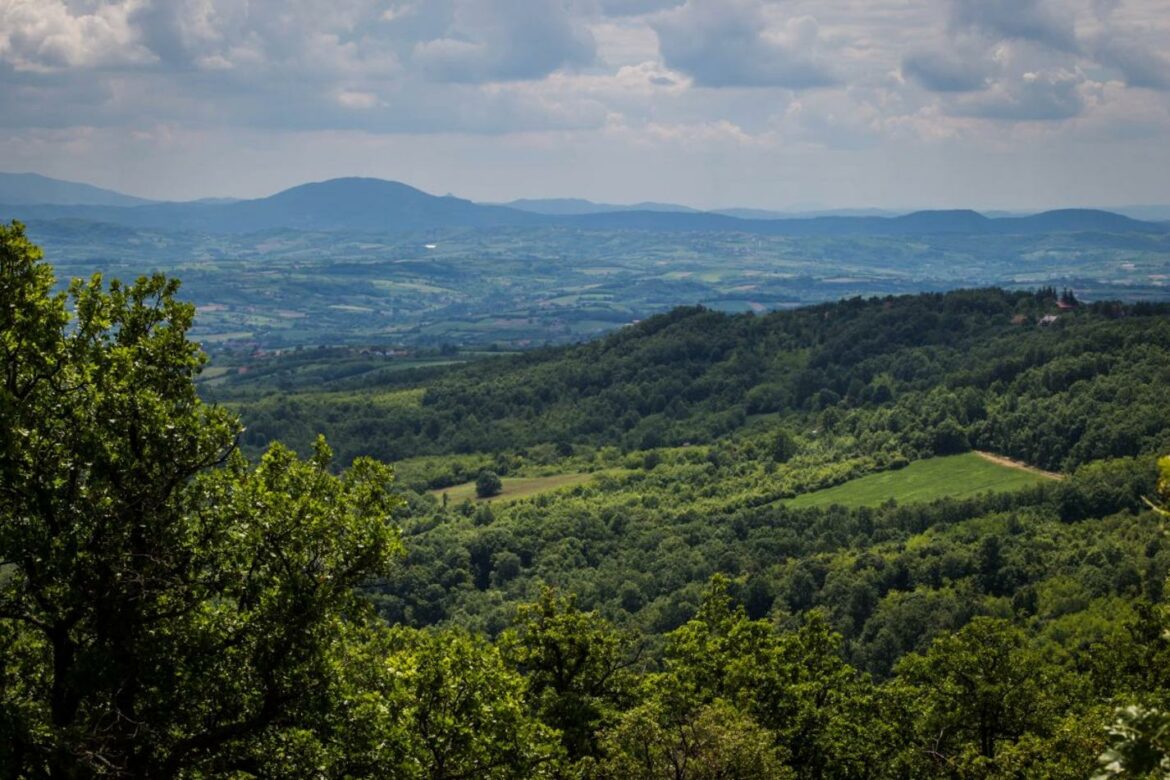 Ziđin odustao od istraživanja na Kosmaju