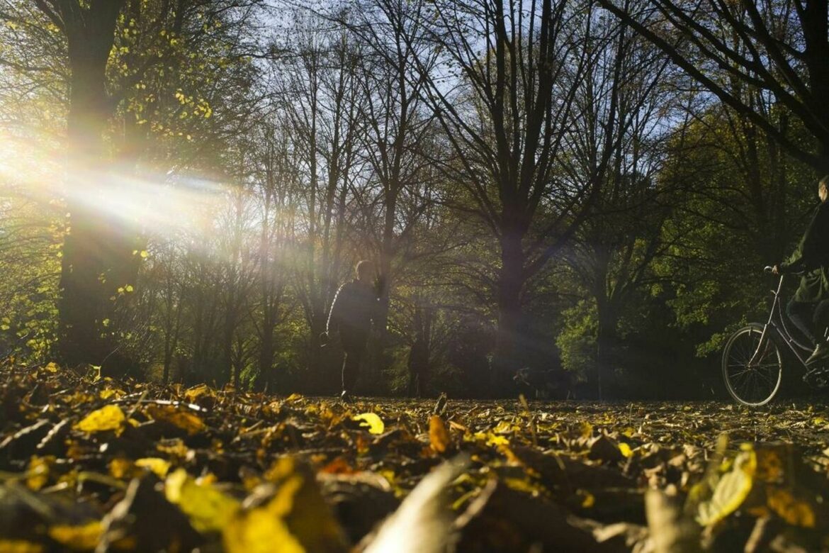 Posle oblačnog jutra sunčan dan, temperatura do 18 stepeni