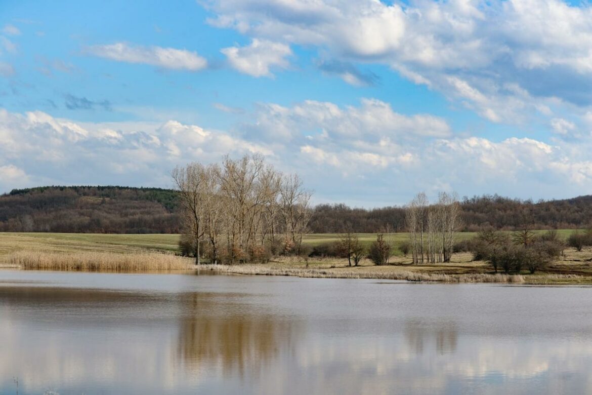 Danas smena sunca i oblaka, temperatura do 14 stepeni