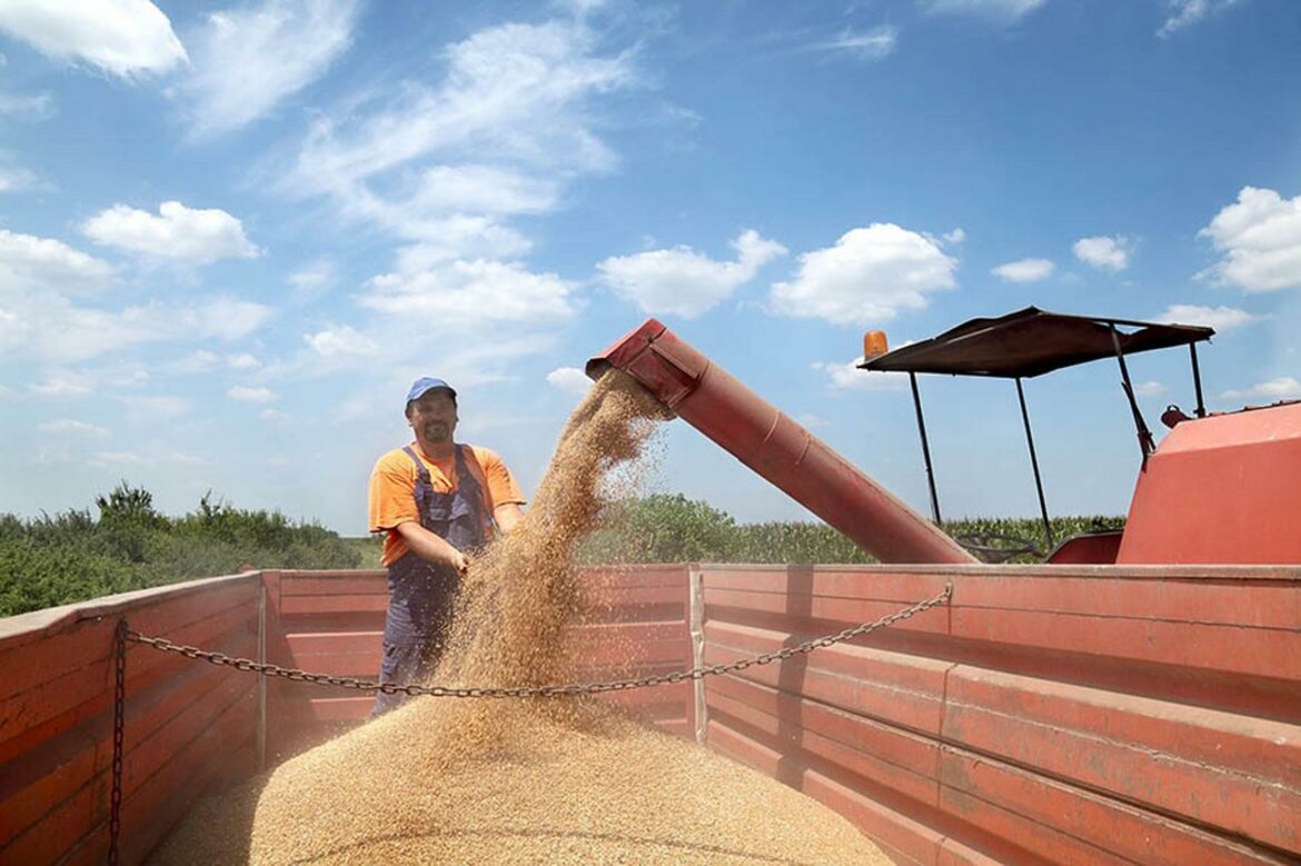 Ekonomisti: Ruska invazija može dovesti do najveće nestašice pšenice u istoriji