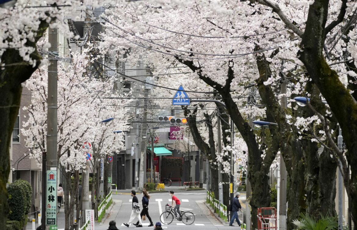 Japan ne želi da plaća ruski gas u rubljama i zabranjuje izvoz luksuzne robe