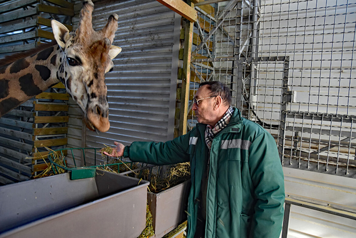 Donatori prikupljaju više od 600.000 dolara za ratom pogođene zoološke vrtove Ukrajine