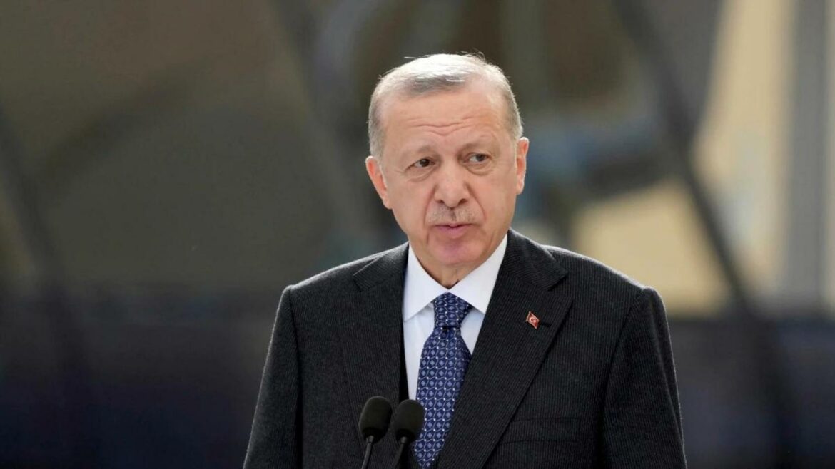 Erdogan se nada sastanku Zelenskog i Putina u Istanbulu