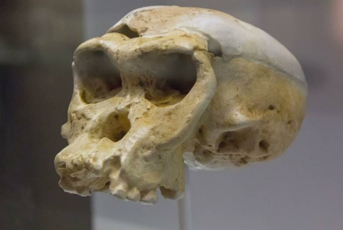 Zubi neandertalaca stari 300.000 godina pronađeni u Sićevačkoj klisuri