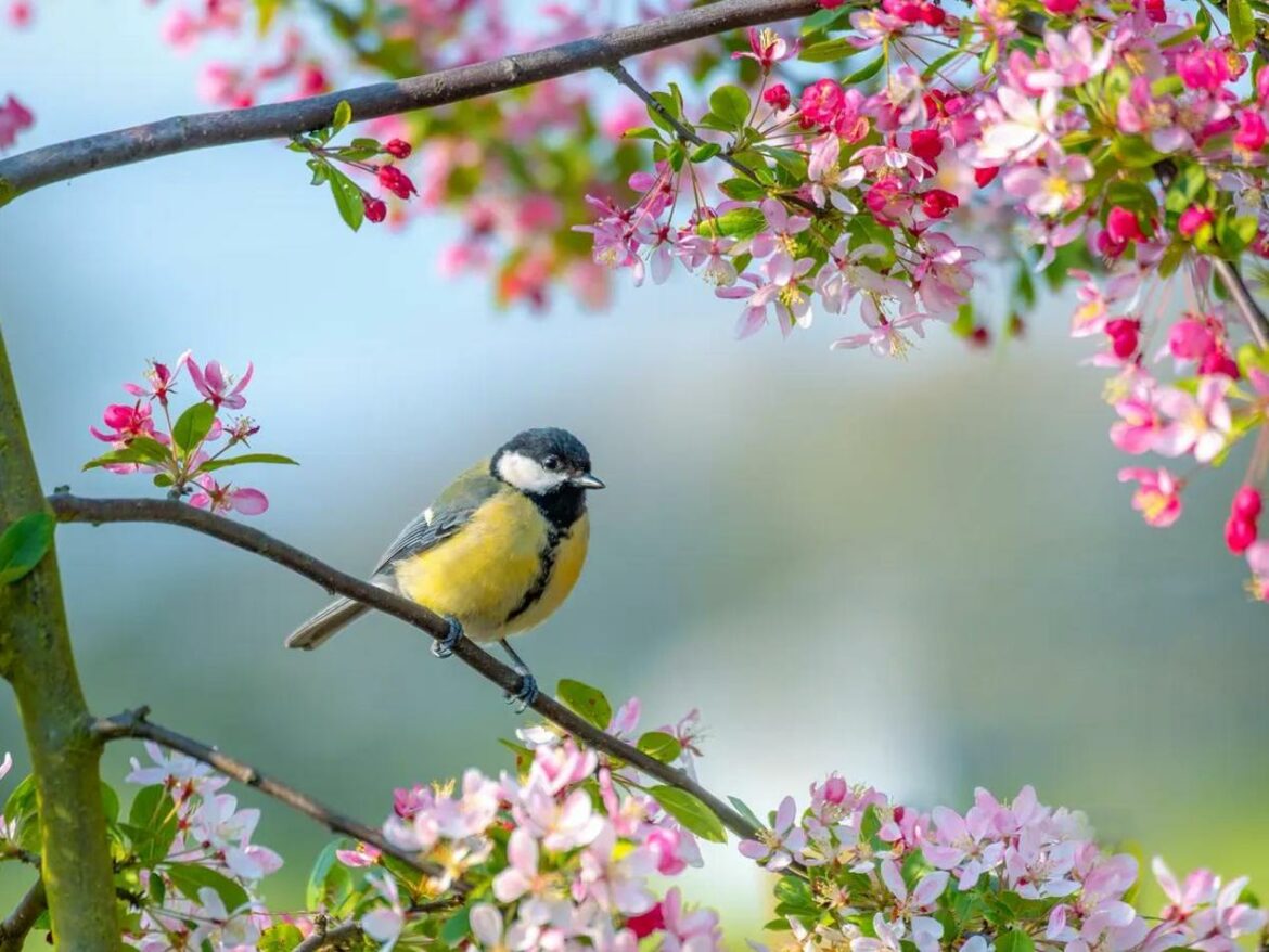 Jutro hladno, tokom dana pretežno sunčano sa temperaturom do 15 stepeni