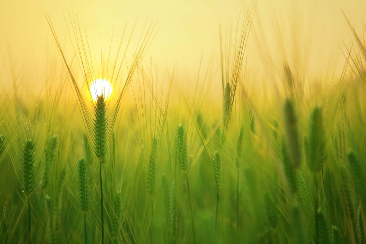 U Srbiji danas više sunca, temperatura do 22 stepena