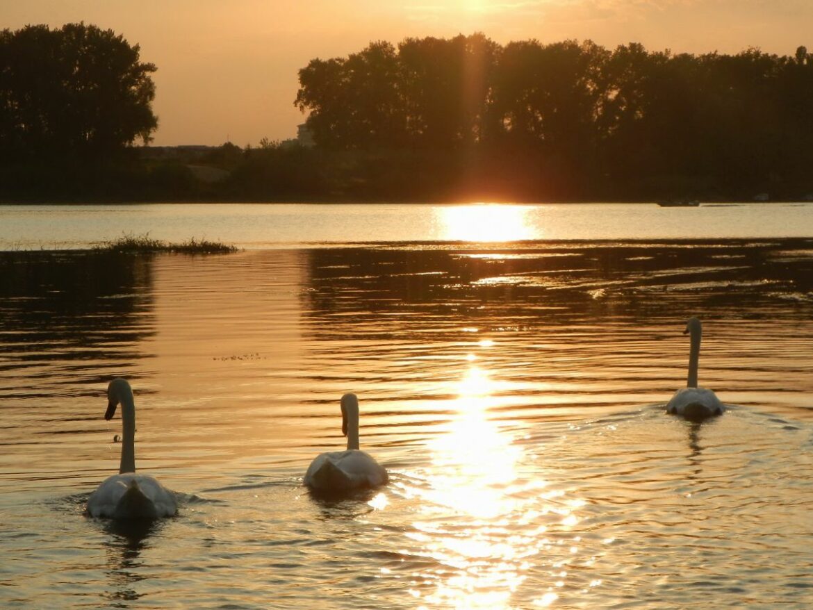 Danas sunčano i toplo, temperatura do 21 stepen