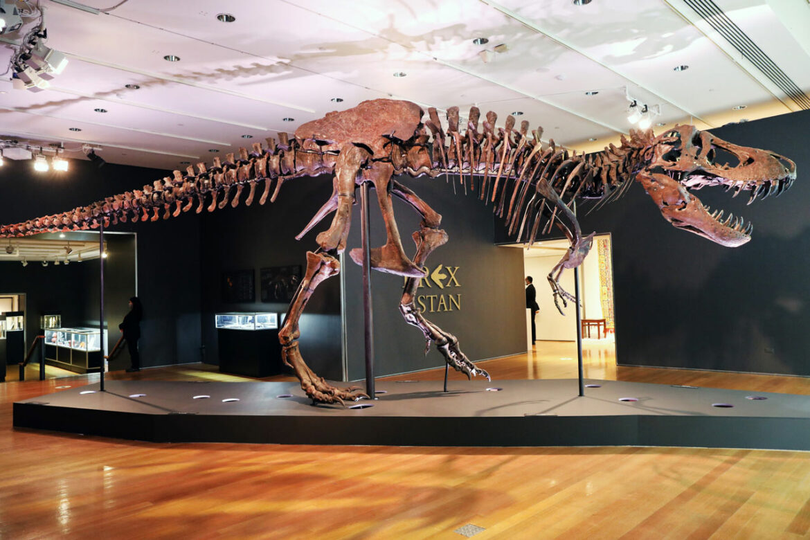 Skelet dinosaurusa prodat za 12,4 miliona dolara na Christie’s-u