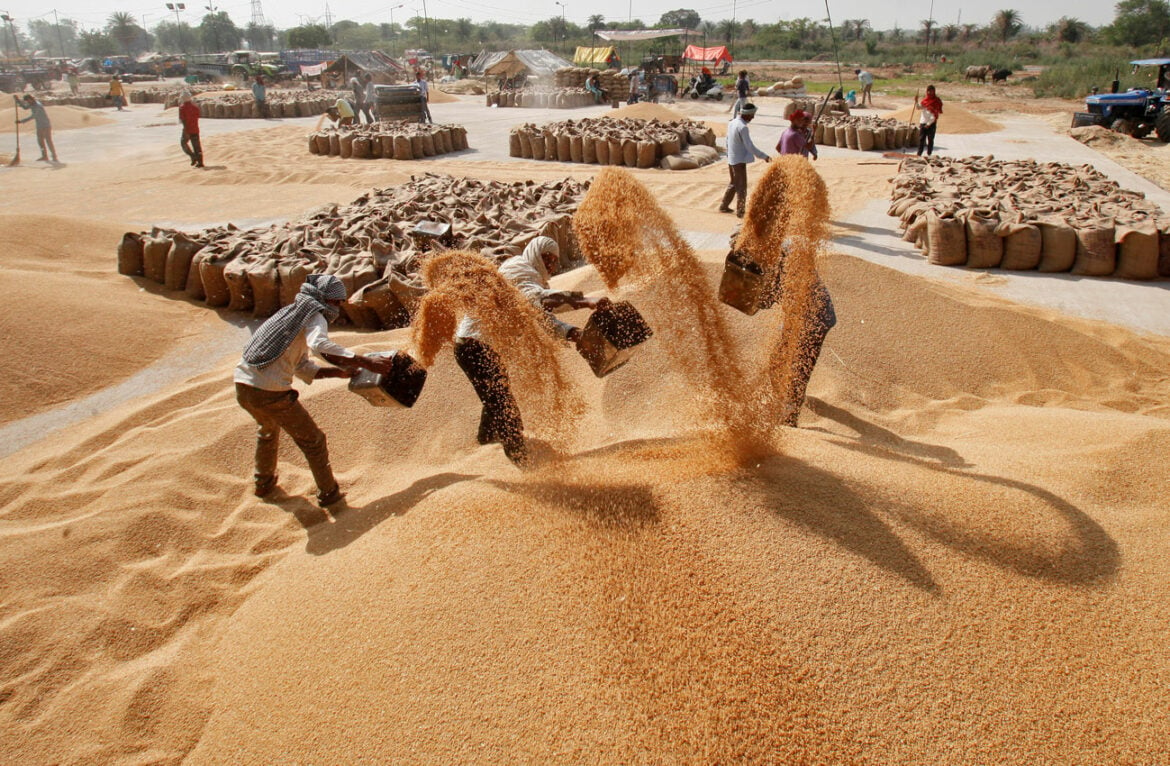 Indija zabranjuje izvoz pšenice zbog rasta cena