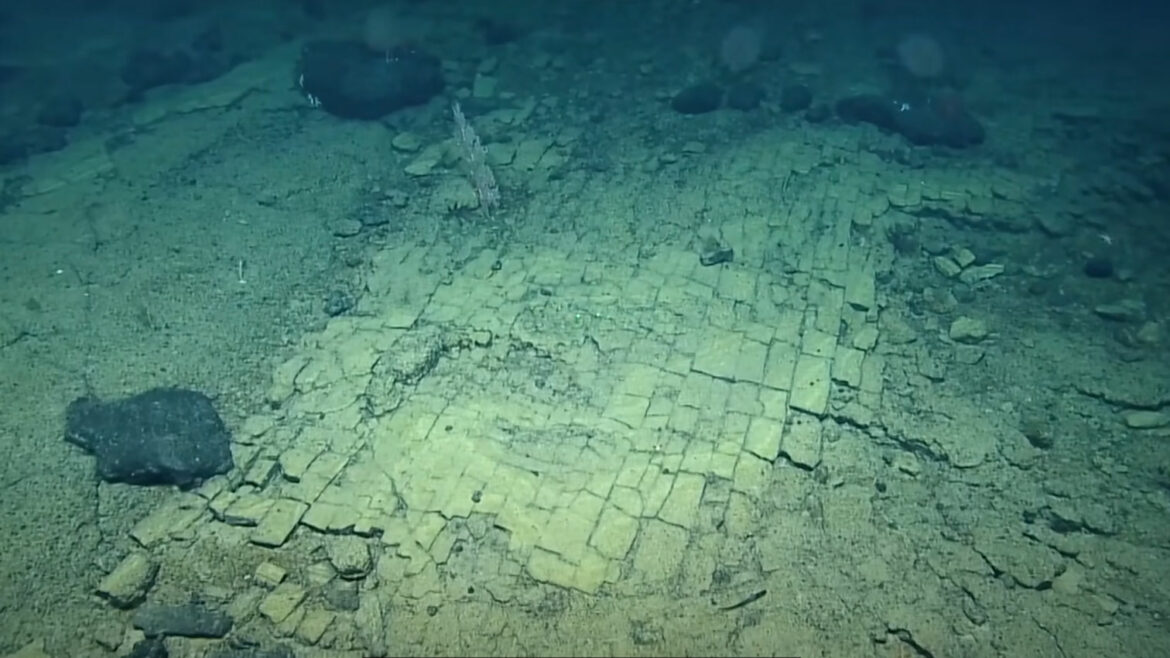‘Put od žute cigle’ otkriven na vrhu drevne podmorske planine