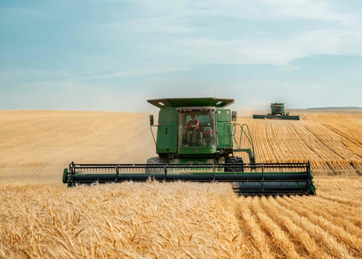 SAD: Pokušaj izvlačenja vitalnih zaliha žita iz Ukrajine