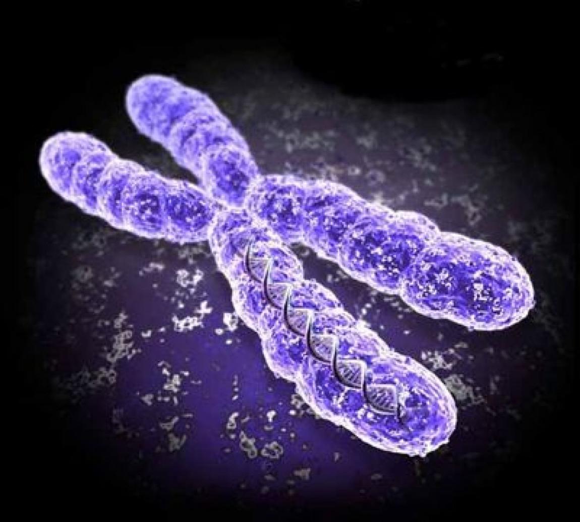 Studija: Dodatni polni hromozomi kod muškaraca mnogo češći nego što se mislilo