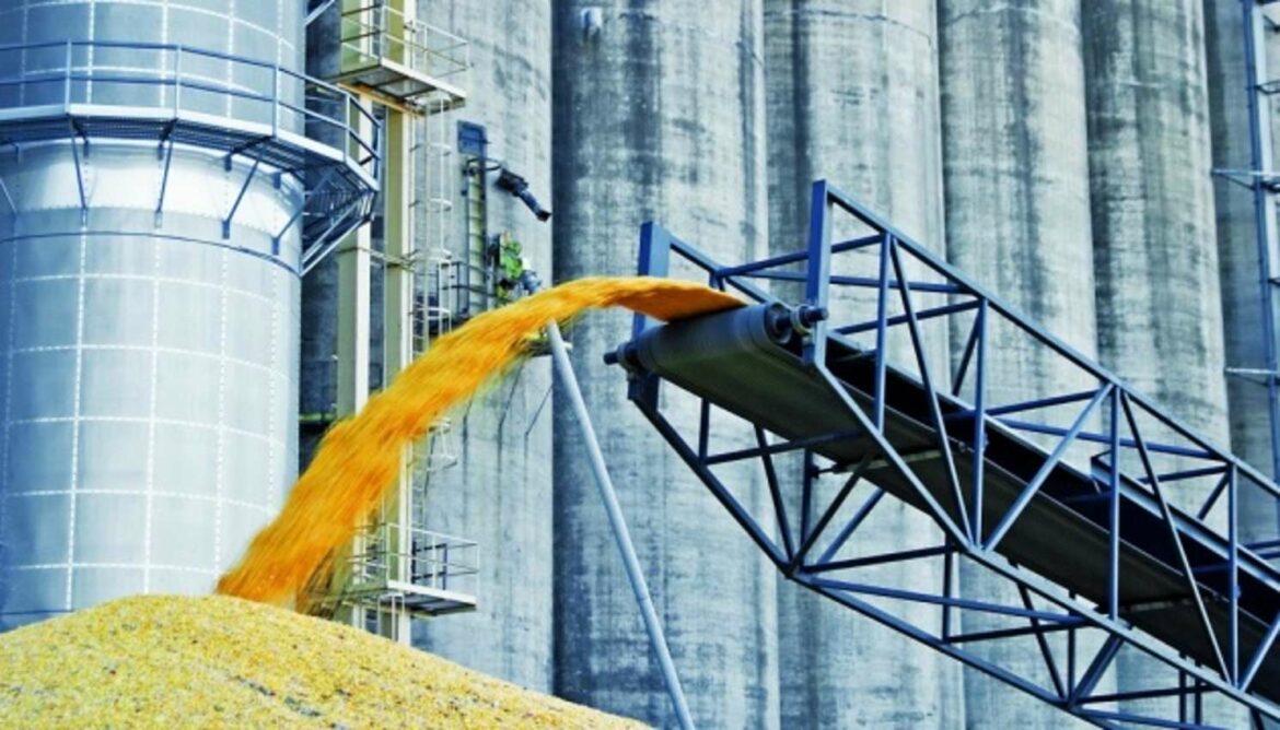 Ukrajina povećava izvoz žitarica za 50% svakog meseca
