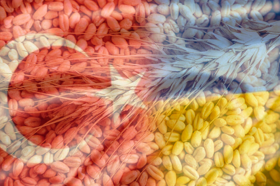 Zelenski potvrdio pregovore sa Turskom i UN o izvozu ukrajinskog žita