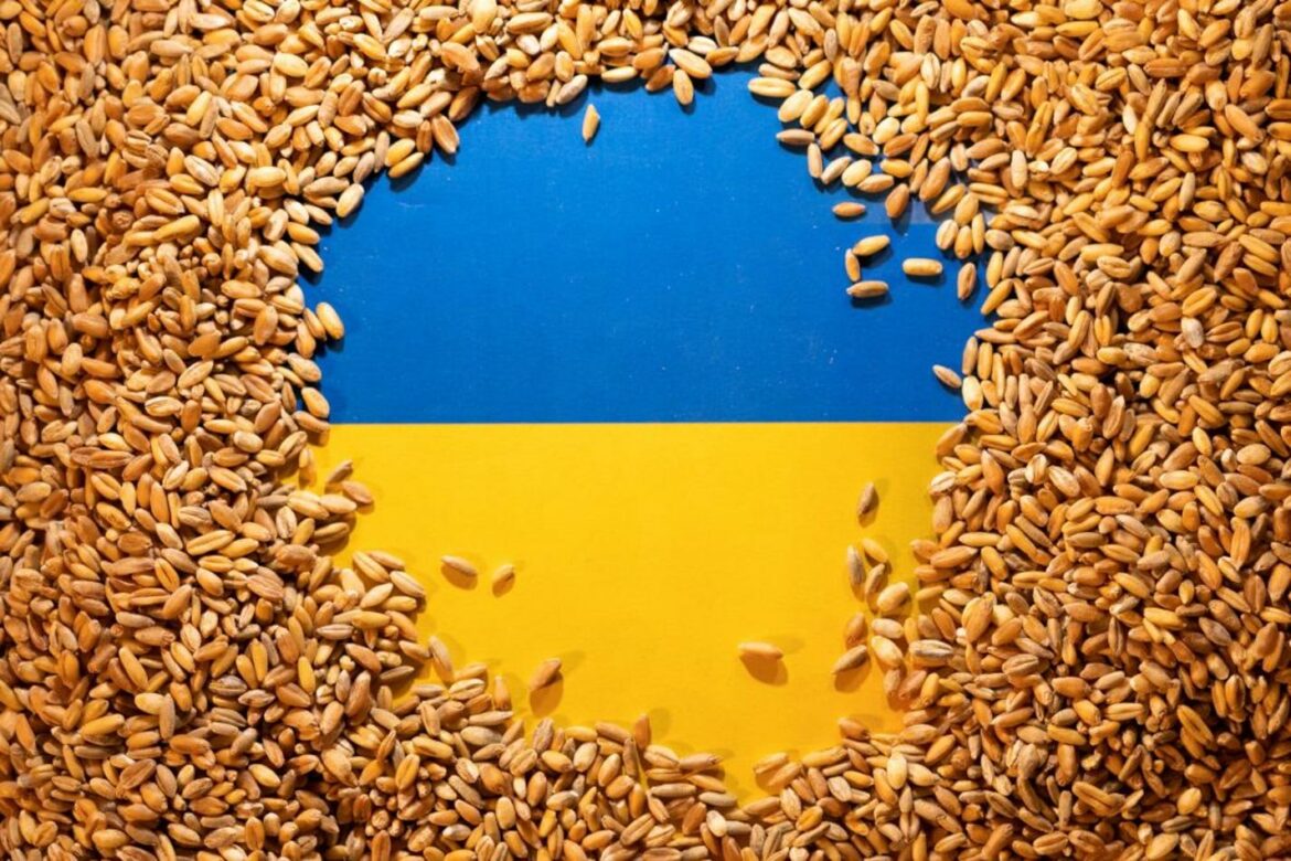 Ukrajina: Izvoz žitarica u junu pao za 43 odsto