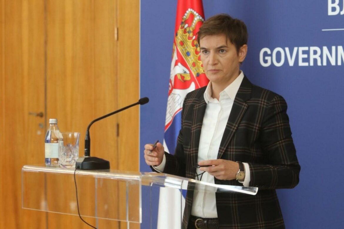 Brnabić: Država ne može da garantuje cenu suncokreta, ali možemo da razgovaramo o marži