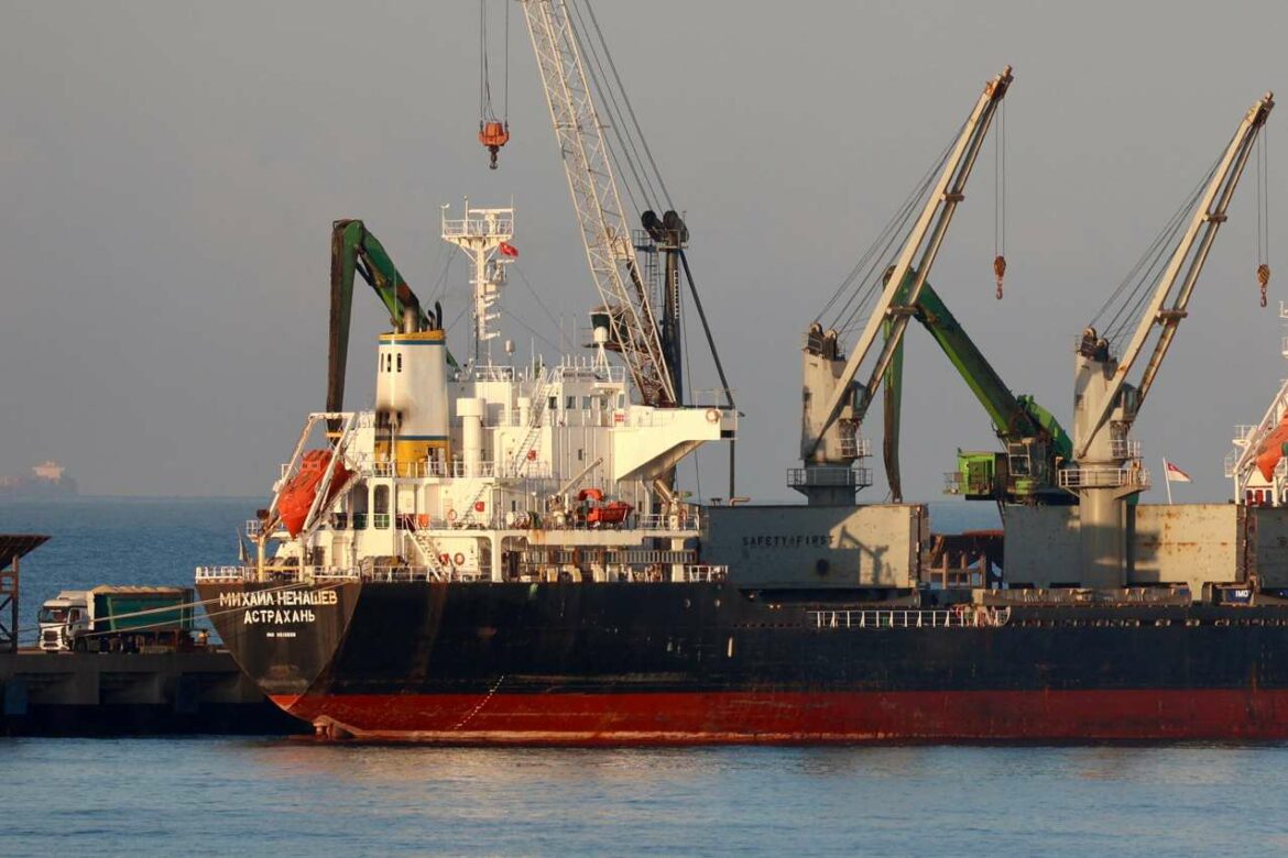 Ukrajina: Brodovi sa žitom počeli prolazak kroz ušće Dunava