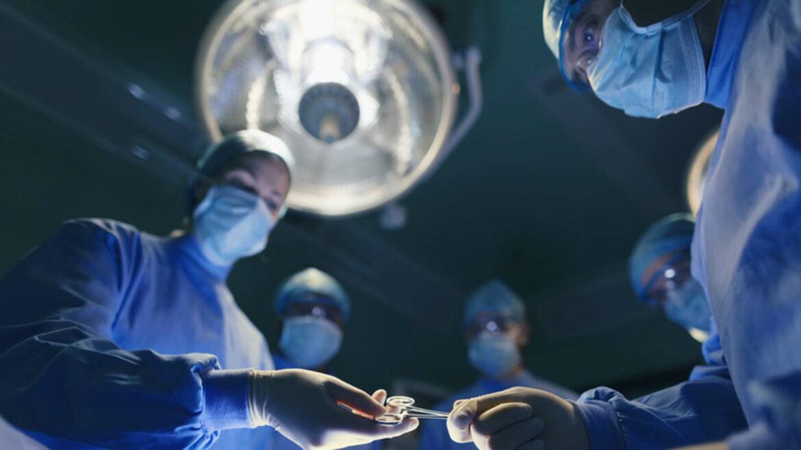 Istraživači kreću u transplantaciju životinjskih organa za ljude