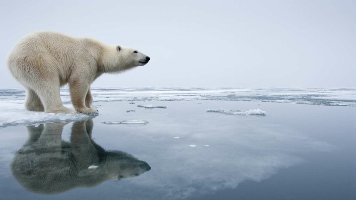 Rusija upozorava na opasnosti po Arktik