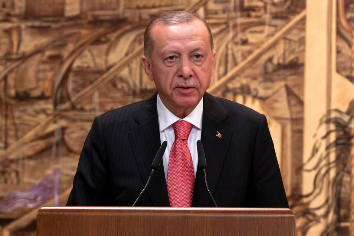 Erdogan: „Žitni koridor“ je moguć zahvaljujući specijalnim odnosima Turske sa Ukrajinom i Ruskom Federacijom