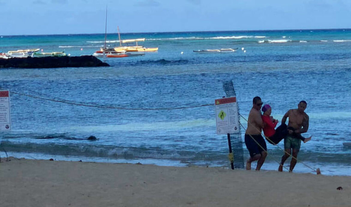 Havajska foka povredila plivača na Vaikikiju