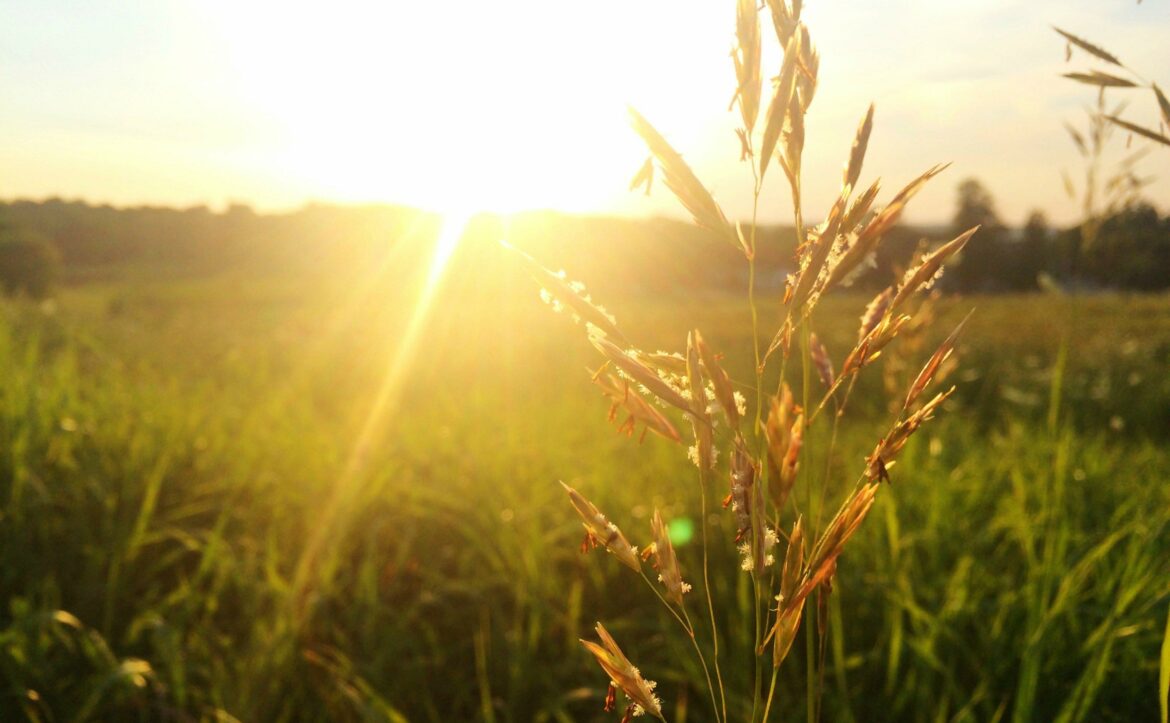 Sunčano i veoma toplo, temperatura do 36 stepeni