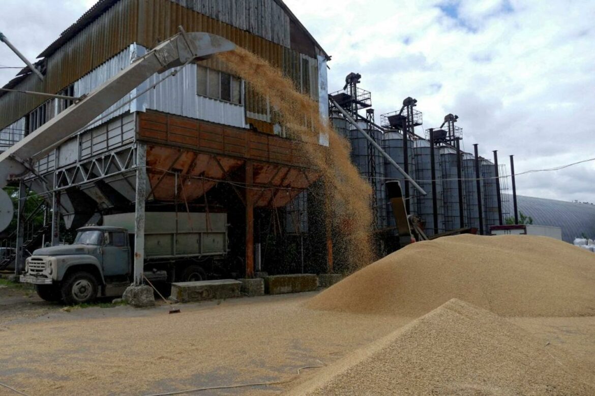 Dojče Ban planira prevoz ukrajinske pšenice u nemačke luke