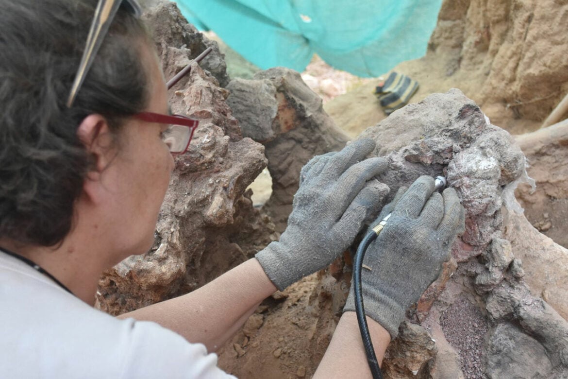Pronađeni ostaci najvećeg dinosaurusa ikada viđenog u Evropi