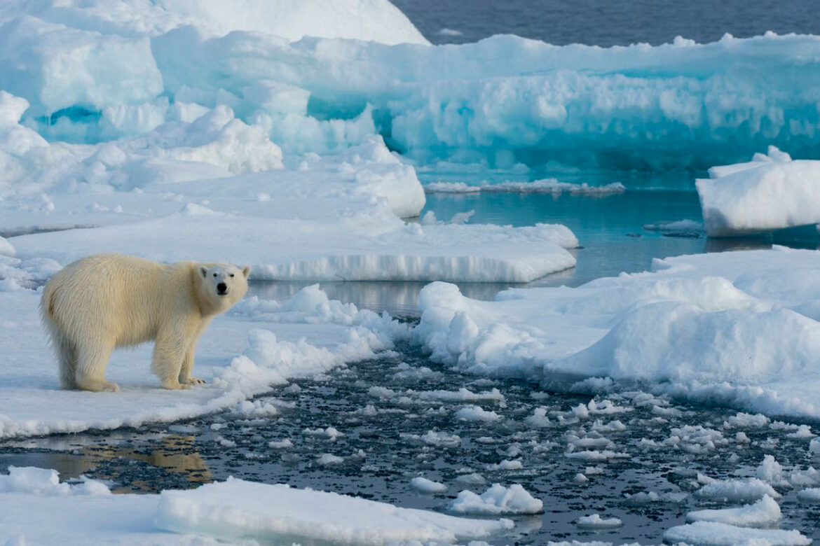 Arktik se zagreva skoro četiri puta brže od ostatka planete