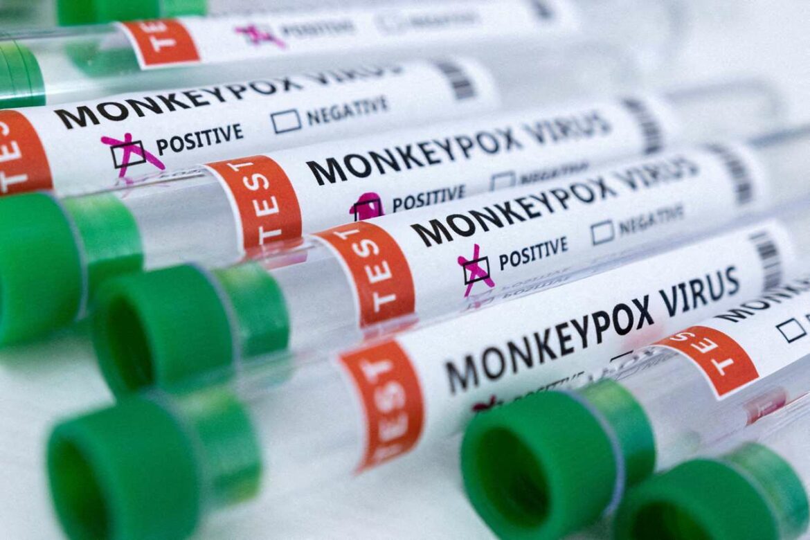 Britanski naučnici pokrenuli studiju za testiranje lečenja majmunskih boginja