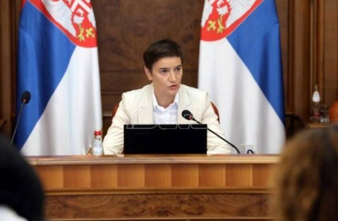 Brnabić: Svet na ivici trećeg svetskog rata, prioritet Vlade Kosovo i energetika