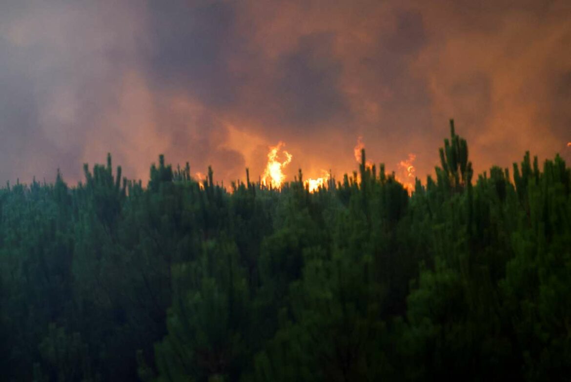 Francuska: Novi šumski požari besne na jugozapadu
