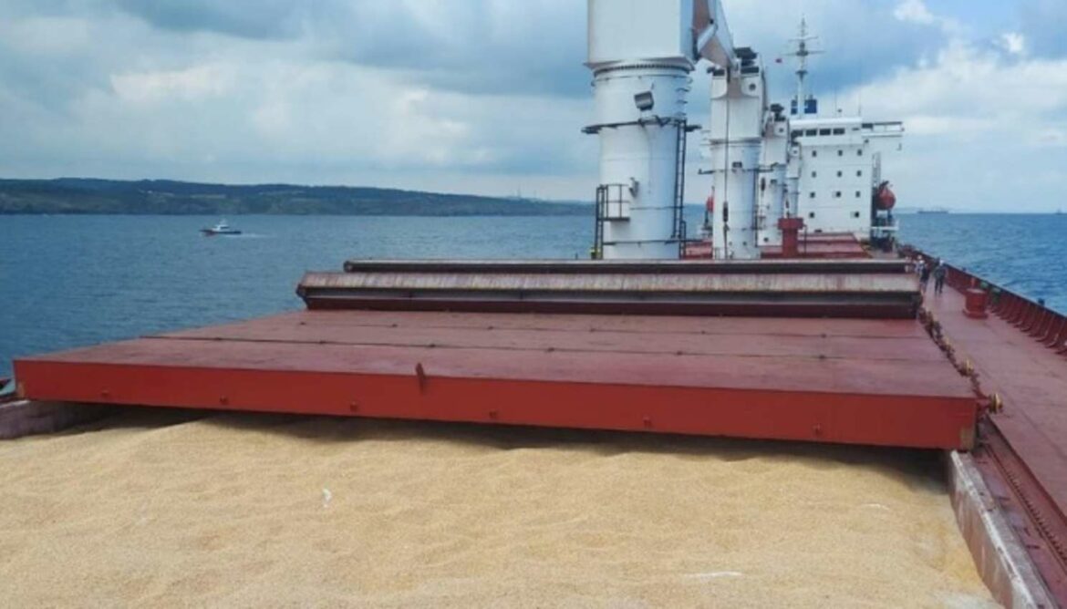 Kuleba: Još brodova sa žitaricama spremnih da napuste ukrajinske luke